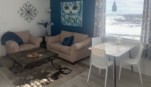 New Family and Pet friendly Apartment in the Heart of Western Colorado Country