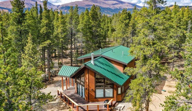New! Family Friendly, Pet Friendly, New Build, 20 mi to Breckenridge - Lamplighter Lodge