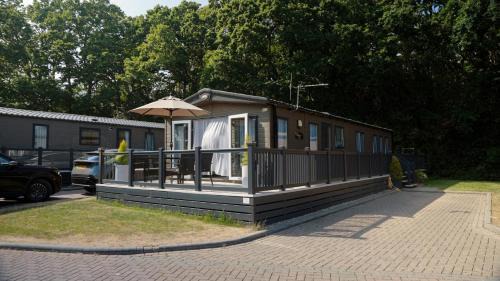 New Forest Retreat on a Holiday Park