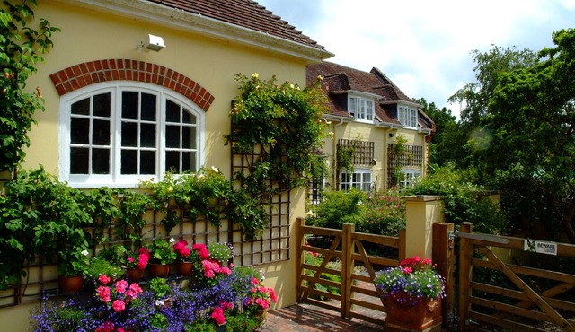 New Forest Retreat | The Cottage – Enjoy the Wildlife, Views & Forest Trail