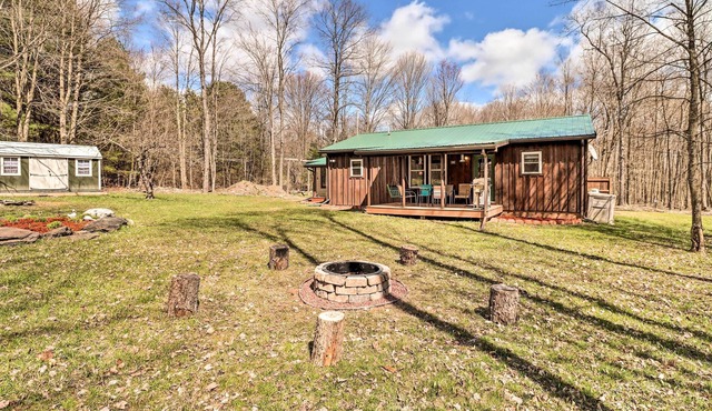 NEW! Forksville Mountain Lodge Retreat w/ Porch!