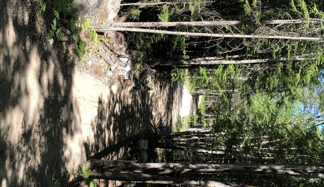 New Gloustria Campsites