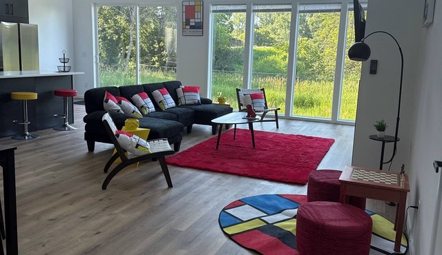 NEW GORGEOUS MODERN HOUSE VERYSTYLED FEW BLOCKS FROM FAMOUS DOWNTOWN OF WAYZATA