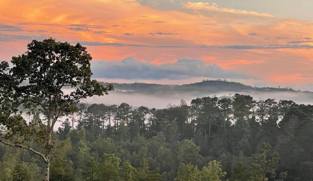 New guest house w/awesome view, across from Ladiga bike trail, close to ATV park