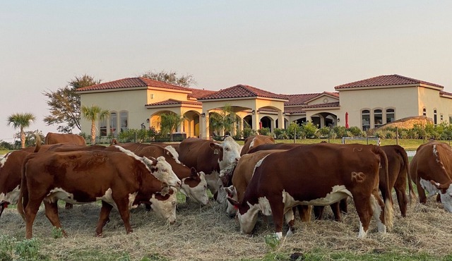 NEW Hacienda Ranch W/Resort Style Pool