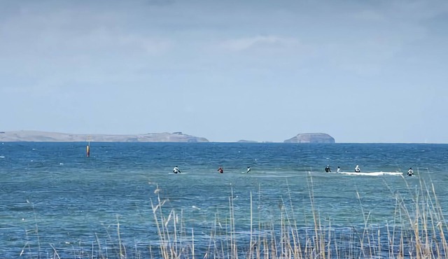 NEW HAVEN in Shoreham