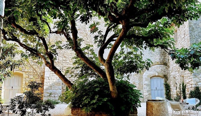 New! Historic Chateau near Uzès, 3 apartments, courtyard garden, and a pool