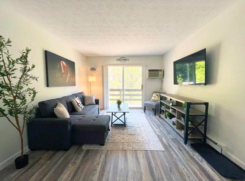New Hof Apt! -balcony - Pet Friendly - Sleeps 4
