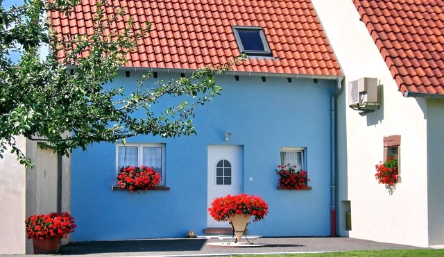 New holiday home in Alsace. At the edge of a forest, in nature.