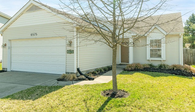New home w huge yard