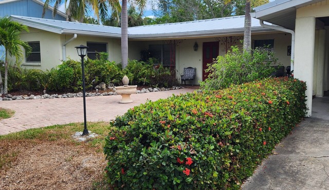 NEW HOUSE COMING SOON !