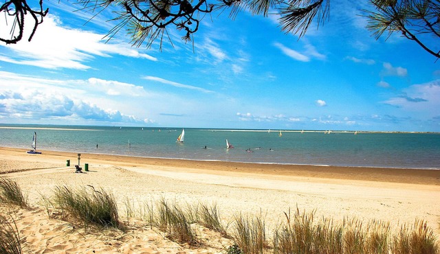 New House quality delivery near beach wild coast and big coast