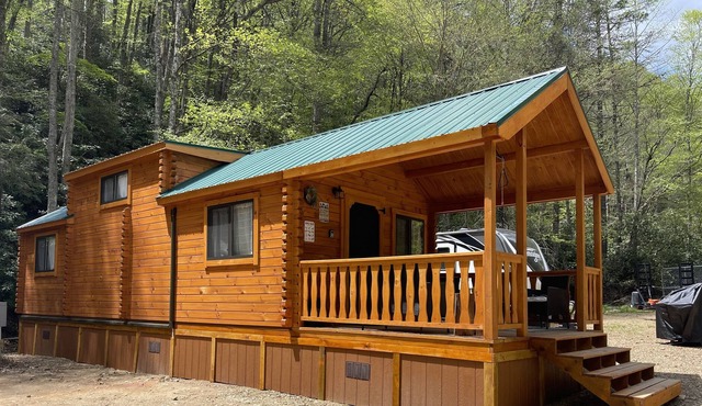 New I Mountain Cabin beside a Fresh Water Spring Creek I 5 min to Doe Mountain Rec Area