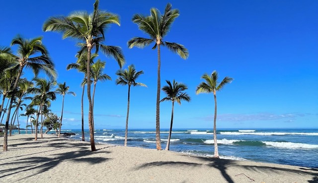 NEW! Iconic Hawaiian Getaway at Mauna Lani. Beach, Bike, Golf, Books, Relax.