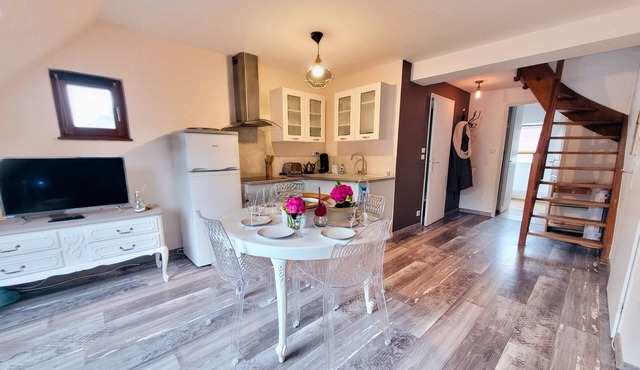 NEW In the heart of the city center of Obernai in Alsace, charming and cozy duplex