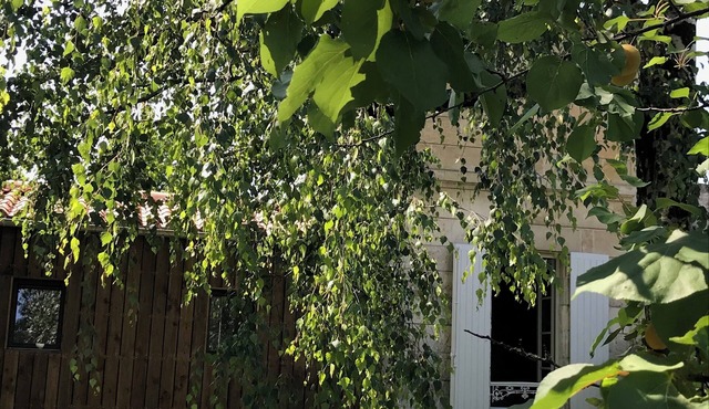 New L'horizon gîte in an exceptional town location. Free parking