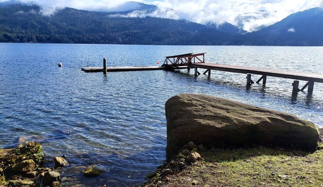 *NEW* Lakefront Cabin with Boat Dock