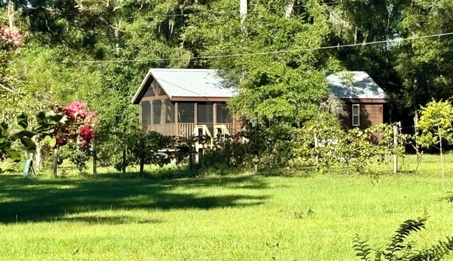 New Lakeside Cabin in Tallahassee, secluded & near town