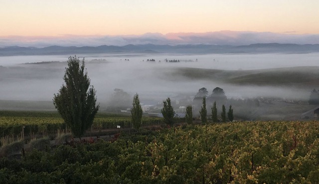 New Listing. Beautiful apartment in the middle of a Willamette Valley vineyard!