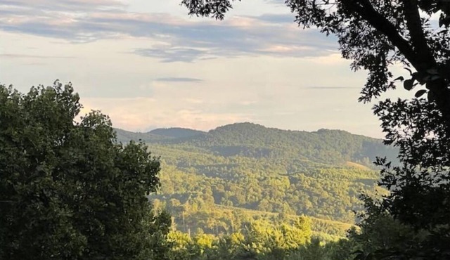 NEW LISTING! Beautiful Cabin with Mountain View in Fleetwood Falls