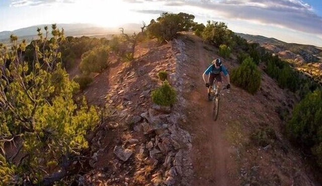 *New Listing*Blue Door Studio/Downtown/Hike/Relax