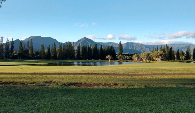 NEW LISTING - Coveted Princeville Resort COMFY private studio with AC -