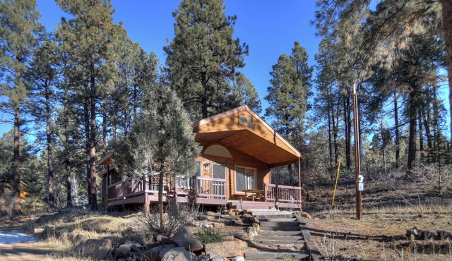 New Listing! Forest Lake Hideout | Private Cabin Surrounded by Pines | Deck