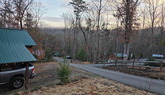 NEW LISTING! Mountain Cabin Getaway with a fire pit, High Speed Internet, Dog OK