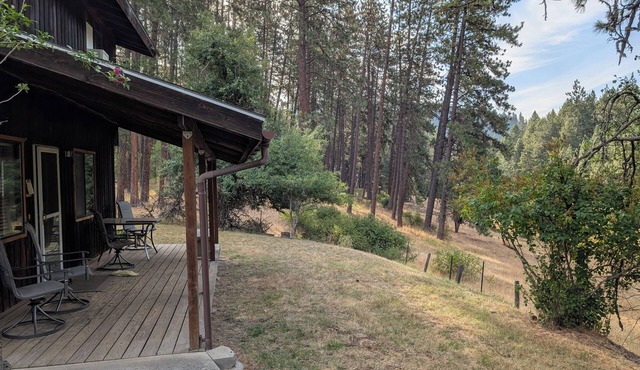 "New Listing" Newly renovated 3-bedroom house in Orofino.