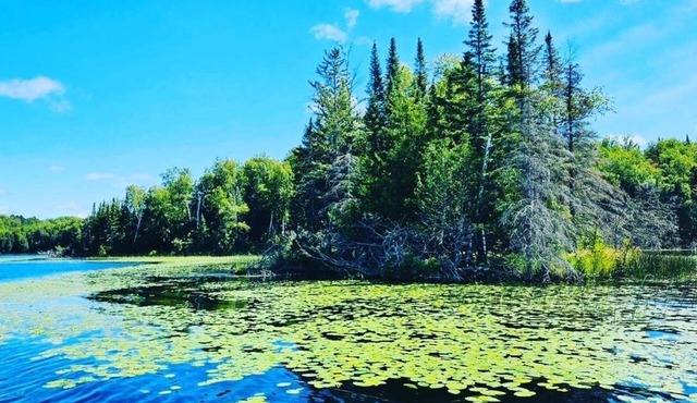 NEW Listing! Restful Lakeside Cabin ~ Resort Amenities!