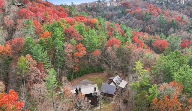 New Listing Specials! Spacious - Fire Pit - Pool Table - Shuffleboard