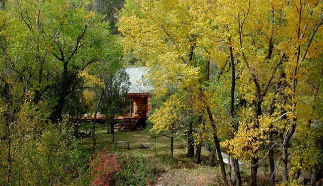 NEW LISTING! Spectacular setting, Log Cabin w/Cascading Decks to Fishing Creek