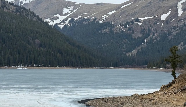 New Listing! Stunning 3 Acre Park County Retreat