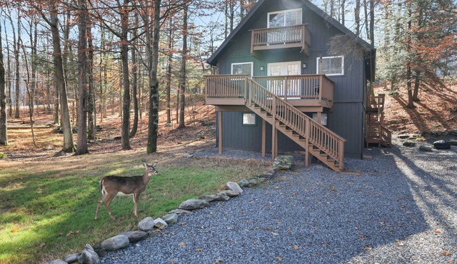 New Listing! The Spot Lake Wallenpaupack-WLE