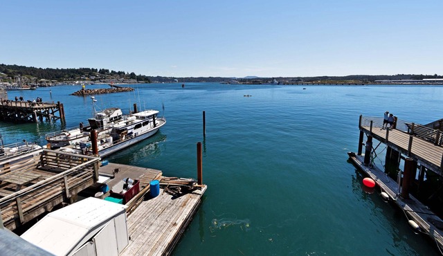 New listing! Waterfront lodge studio w/ fireplace & balcony - on the Bayfront!