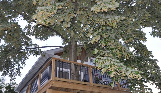 New Loft w/South River view from treehouse deck!