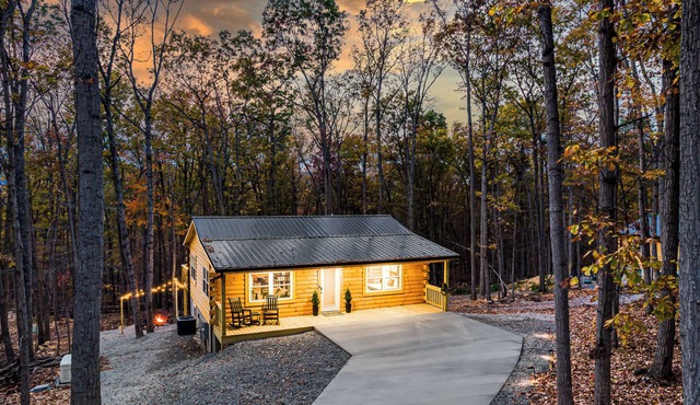 NEW Log Cabin w Hot Tub, Cold Plunge, Game room