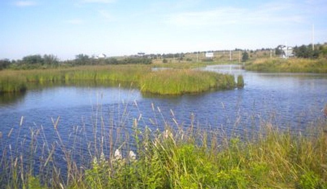 New Log Home with Gorgeous Ocean View in Historic Acadian Village