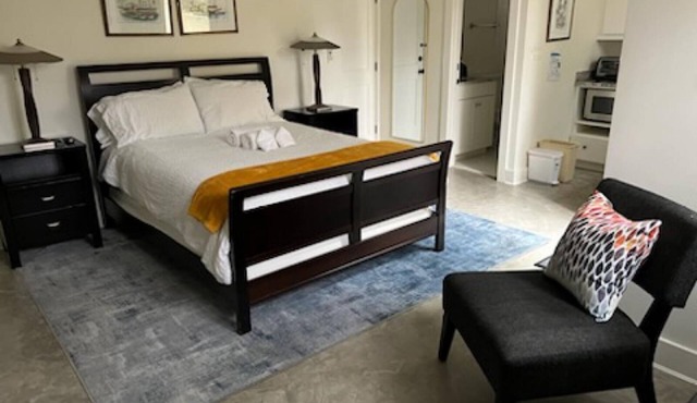 New Luxe Studio Cleveland Park near Zoo