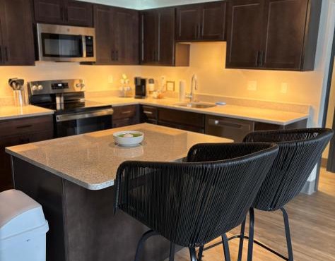 New Luxury Downtown 1 Bedroom Condo 201