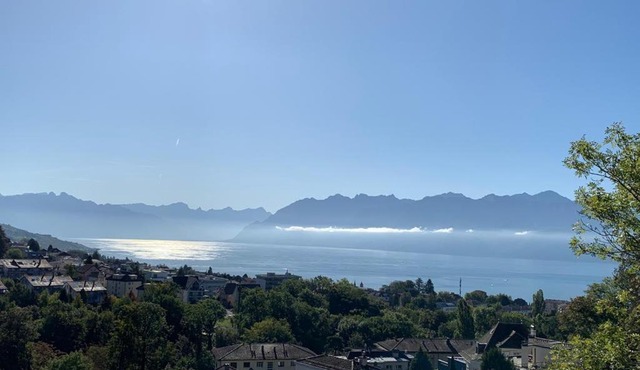 New Luxury Lake view Apartment - Lausanne