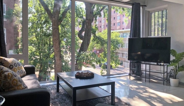 NEW ! MODERN 1500 SF 2 BR 2.5 BA -ULTRA LUXURIOUS CONDO -OSBORNE VILLAGE !