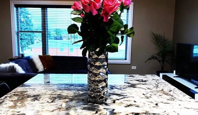 New&Modern Apartment only 4 miles away from Midway Airport.