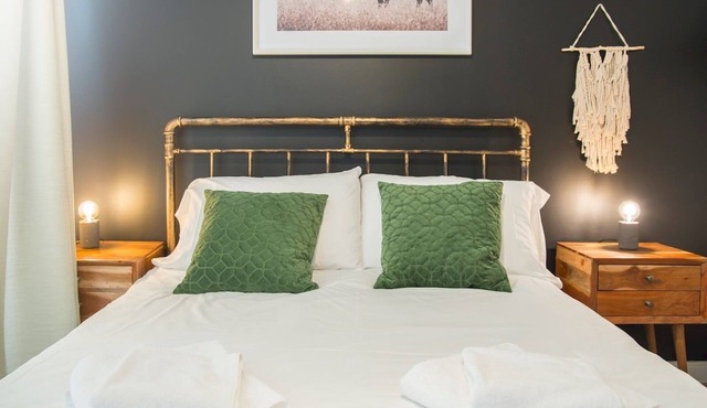 New modern Apt in the City & close to Stadiums - Pass the Keys