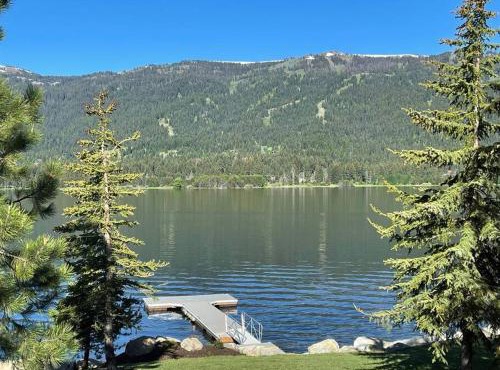 New Modern Cabin w fireplace Hot Tub Sleeps 12