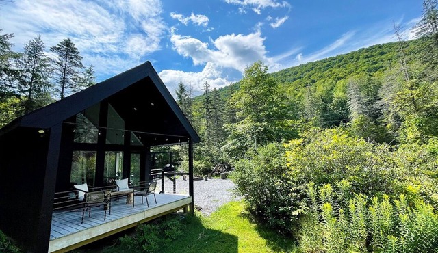NEW Modern Catskills Mountain Cabin Getaway