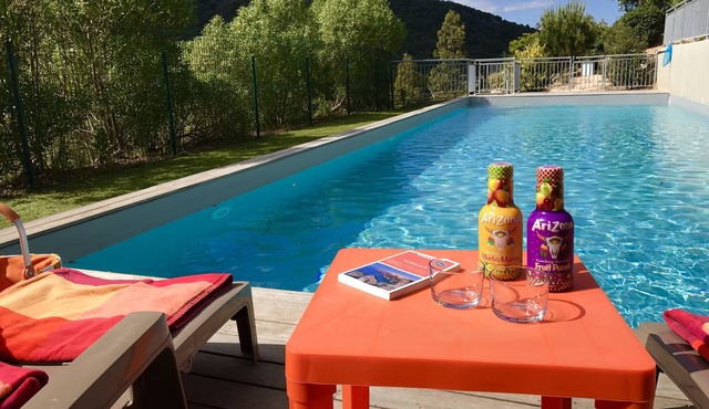 New, modern stone chalet with large terrace and large pool (Rondinara)