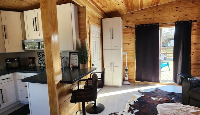 New Modern Studio w/private pool- 5 Min to Keaton Beach Boat Ramp