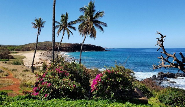 NEW! Molokai Lei Over