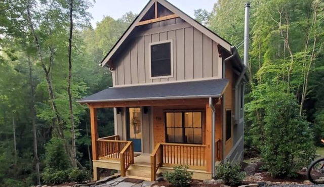 NEW mountain cottage between Dupont and Pisgah!